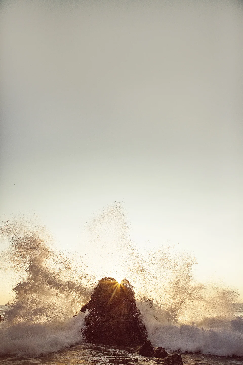 taranea-oct11-splash.jpg