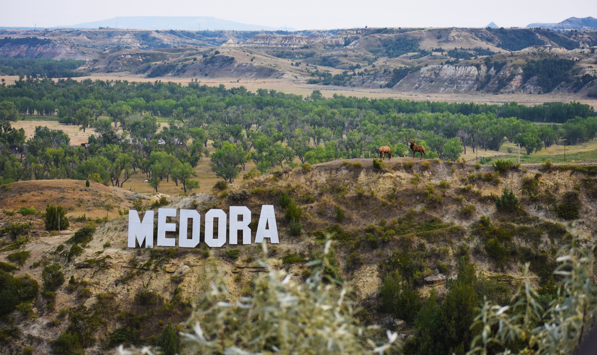 Medora Sign and Badlands.jpg