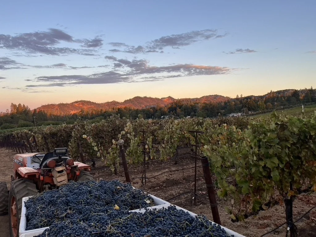 Howell Mountain Vineyards