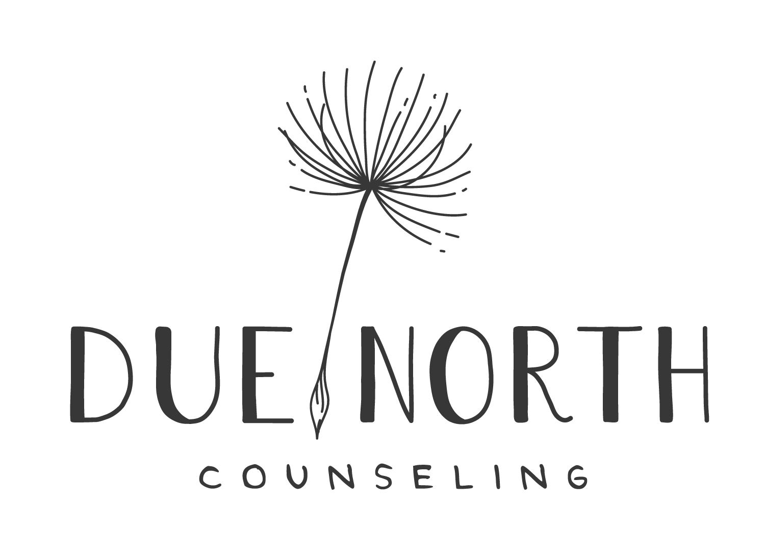 Due North Counseling