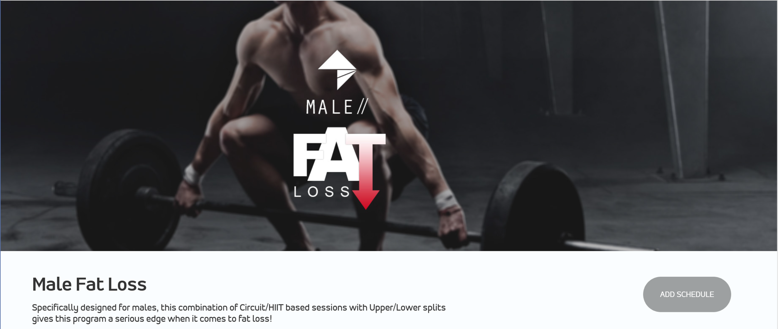 Male Fat Loss.png