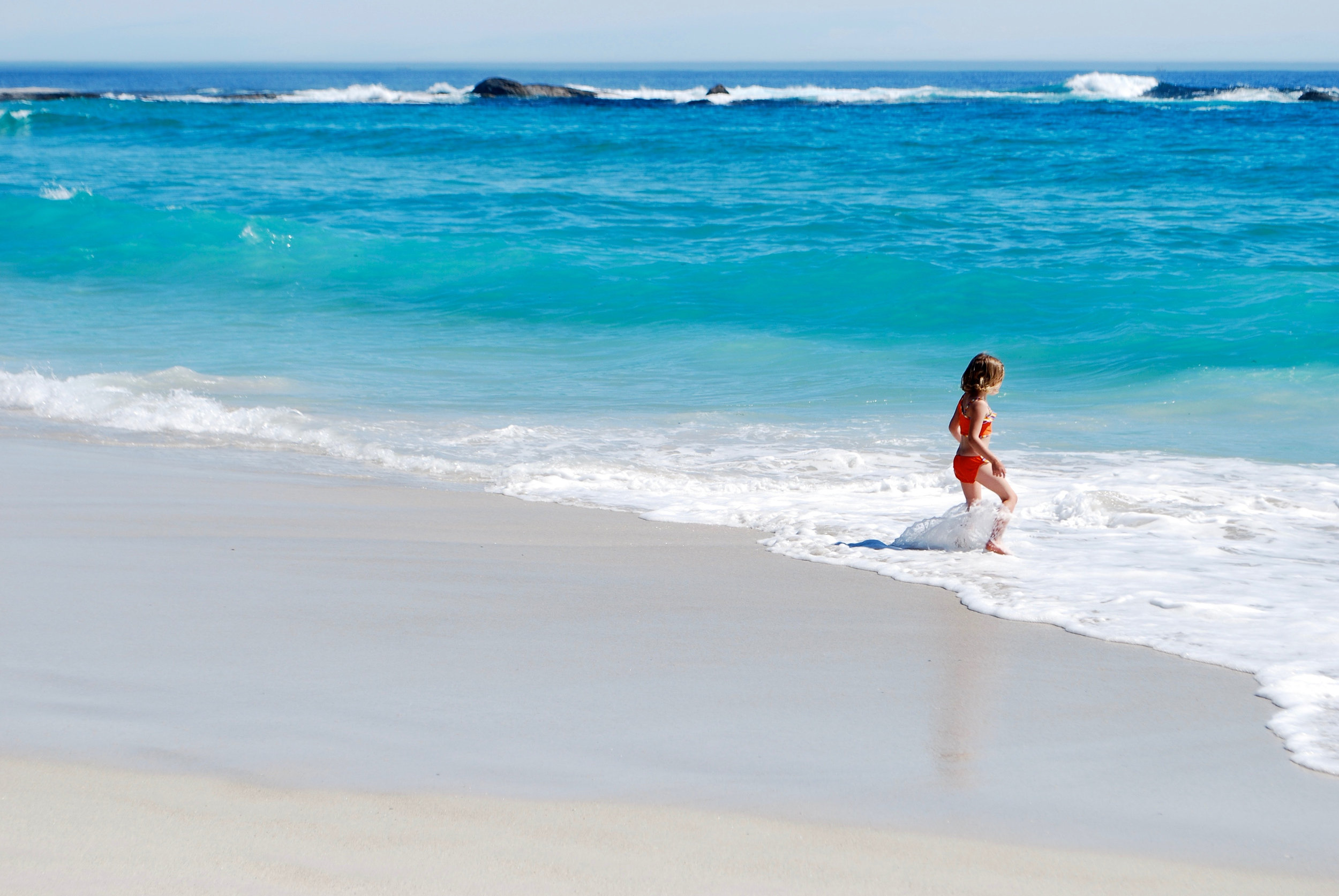 Seaweed – good for you, good for the planet