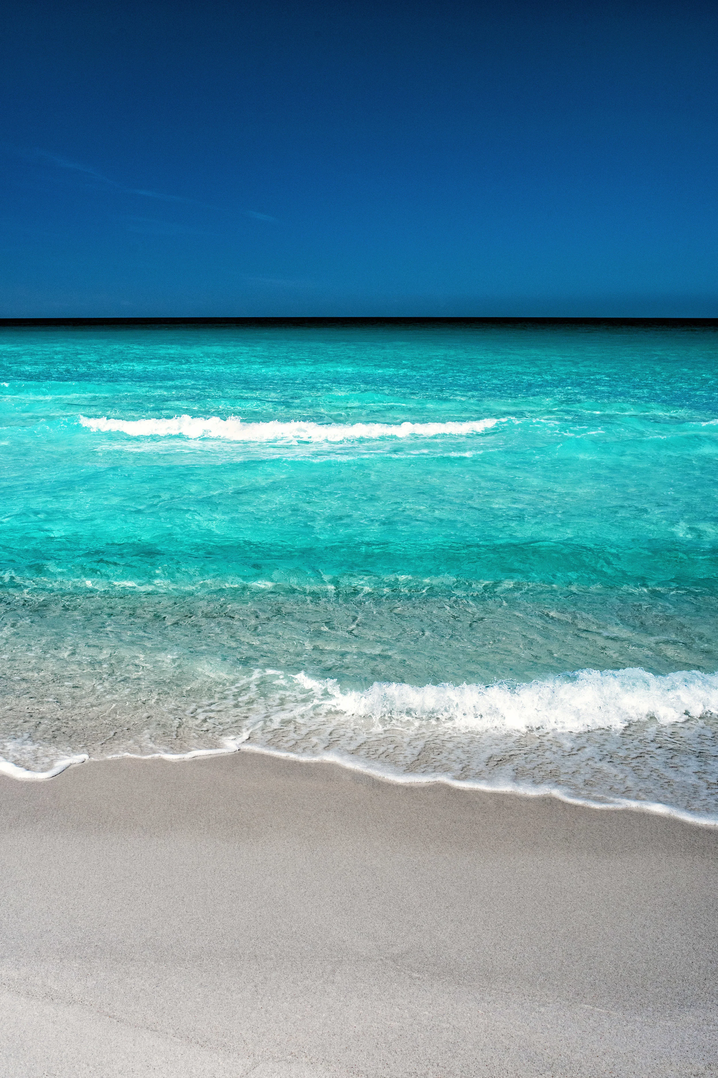 Blueprint for a $billion Australian seaweed industry