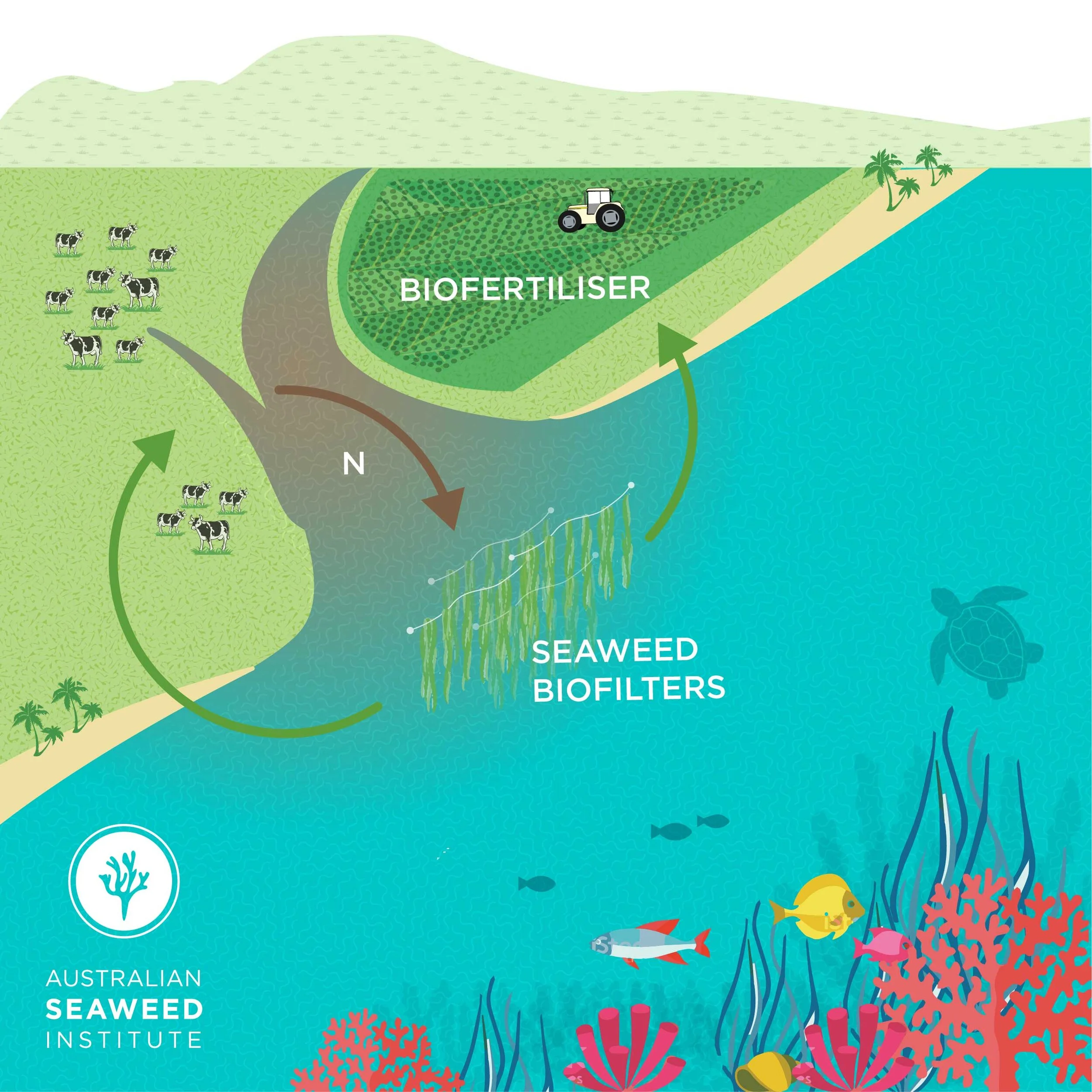 Australian Seaweed Institute: the Seaweed Biofilter circular economy.