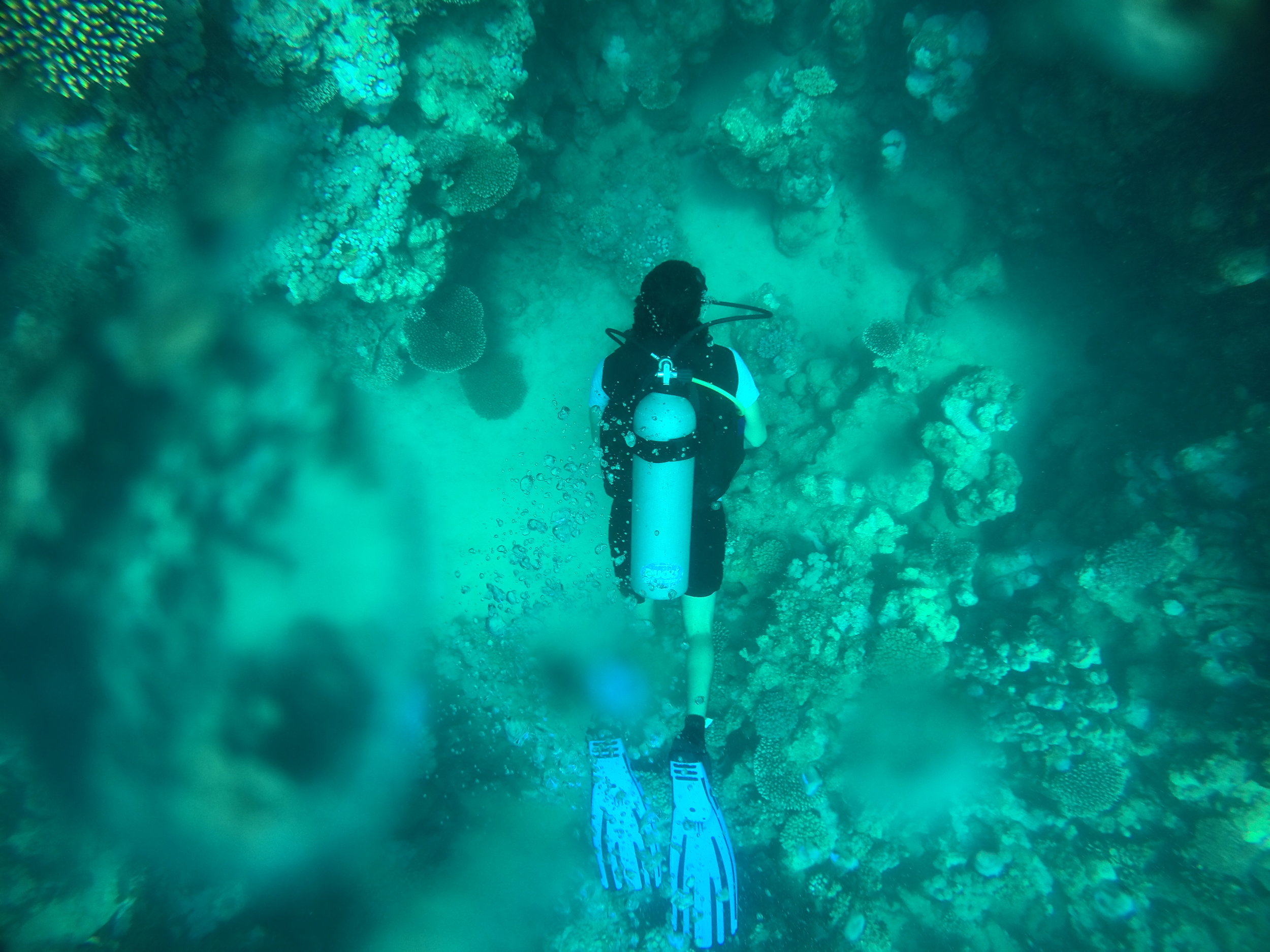 Marine Bioproducts collaboration