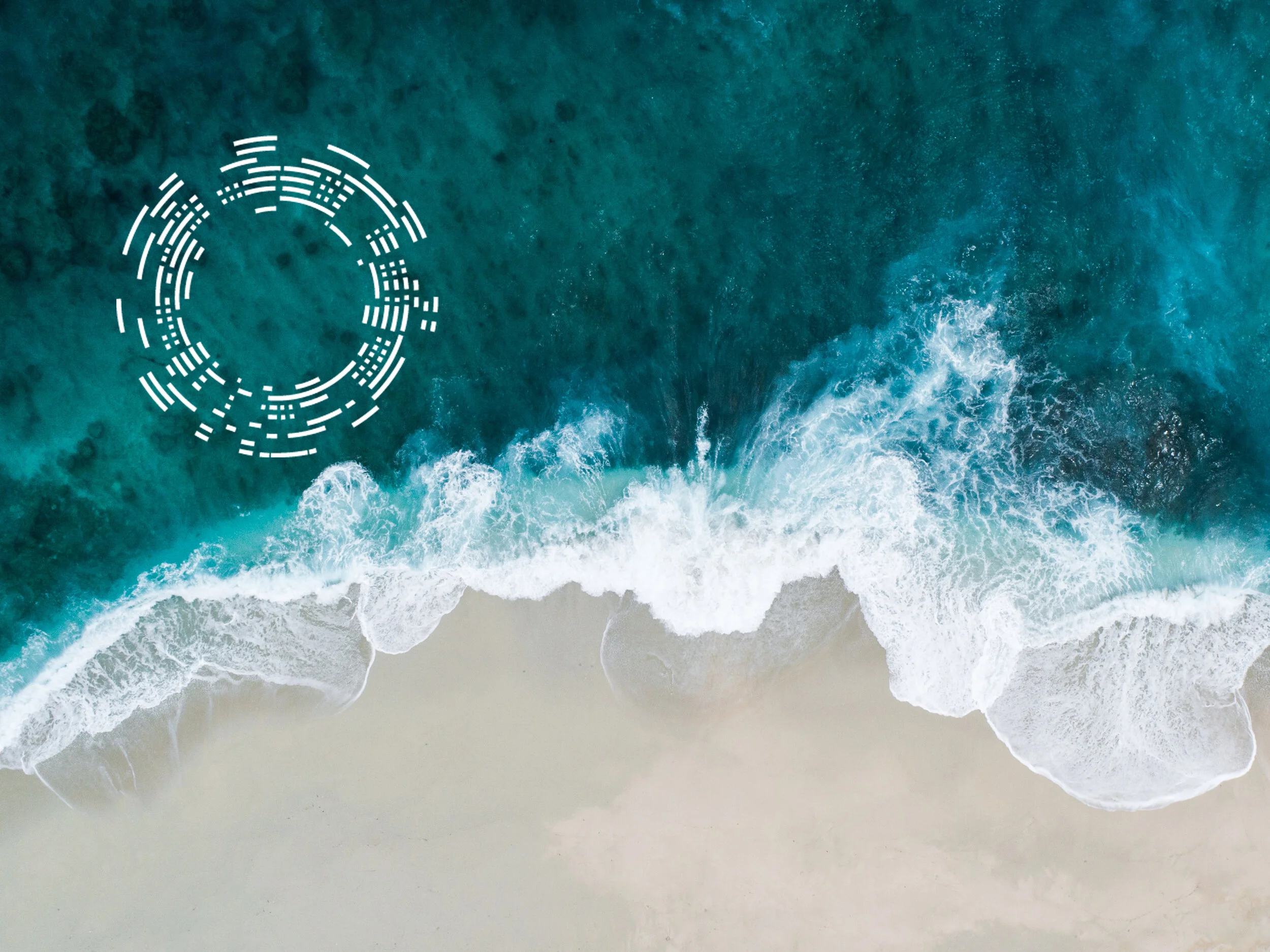 Seaweed features in the new Sustainable Ocean Economy Report