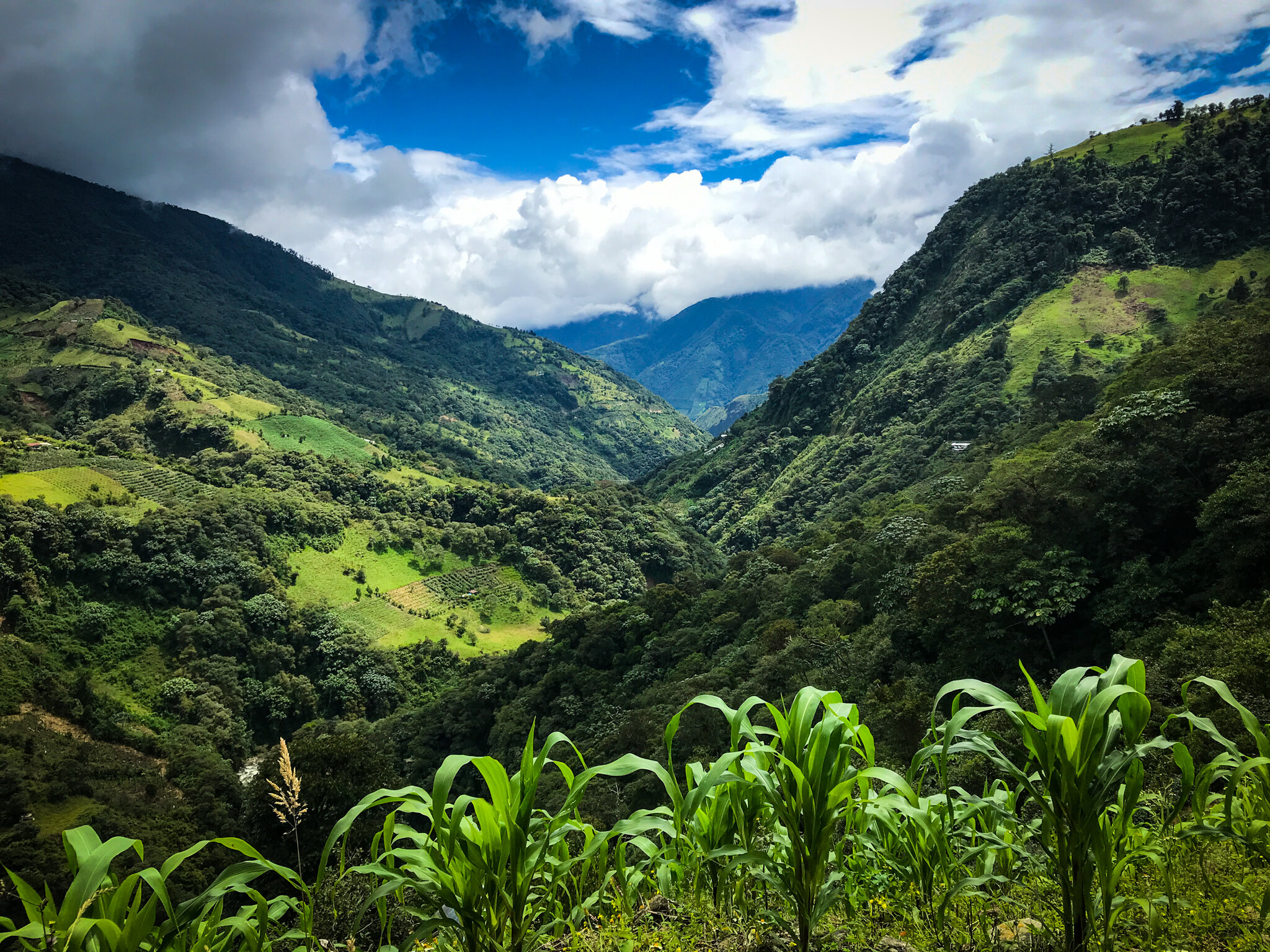 Day 3 - Mountain Biking in Cloud Forest