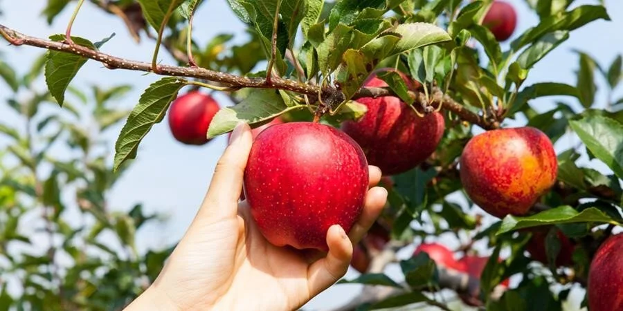 When is the best time to invest in shares?