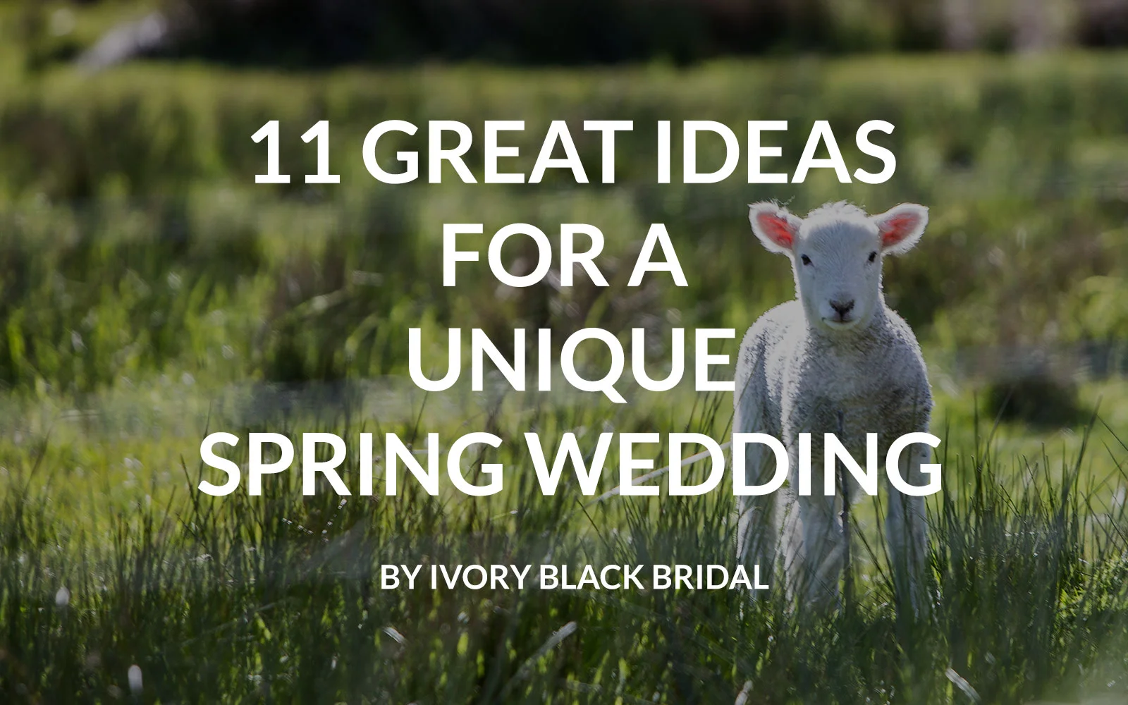 11 GREAT IDEAS FOR A UNIQUE SPRING WEDDING