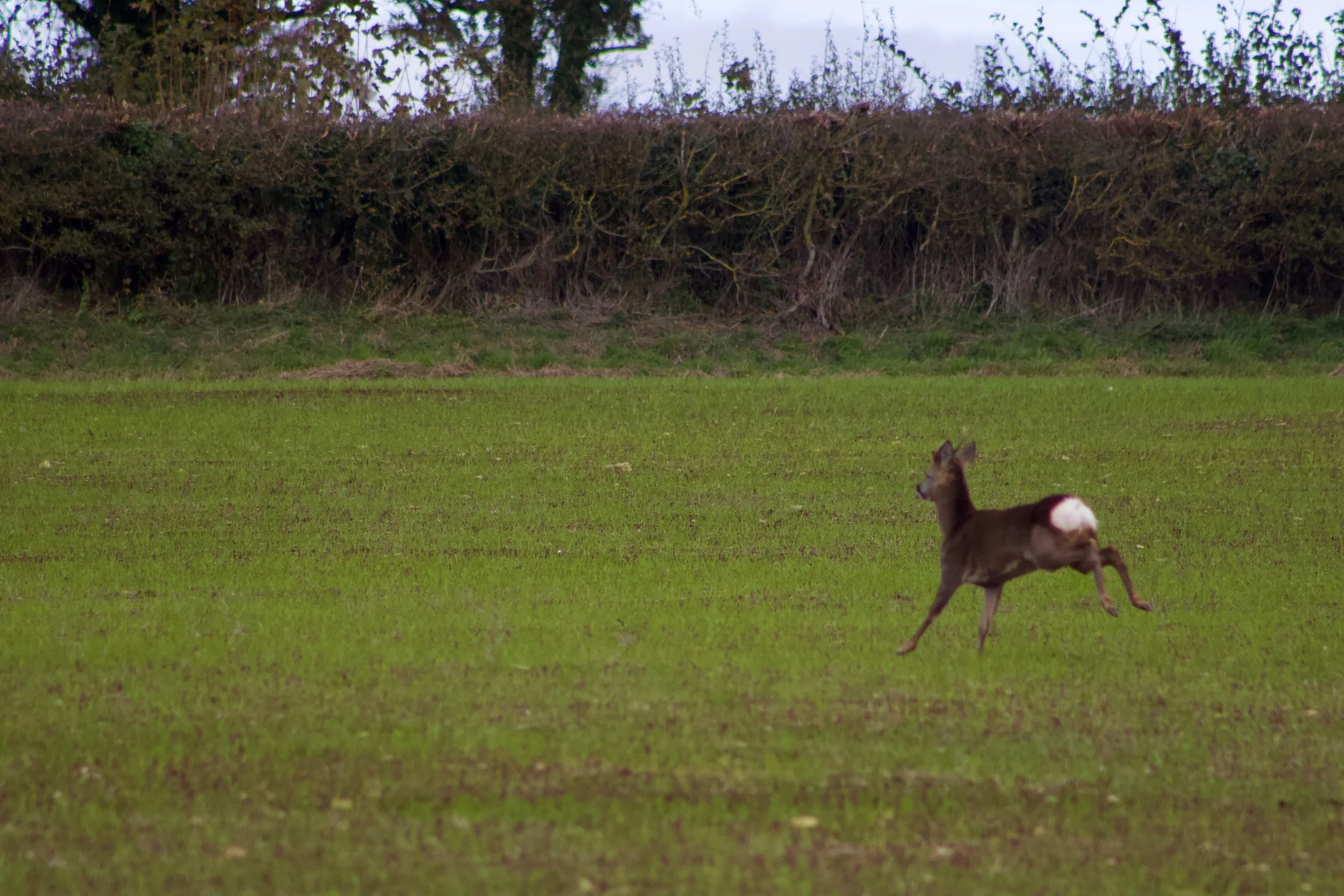 IMG_7902.jpg
