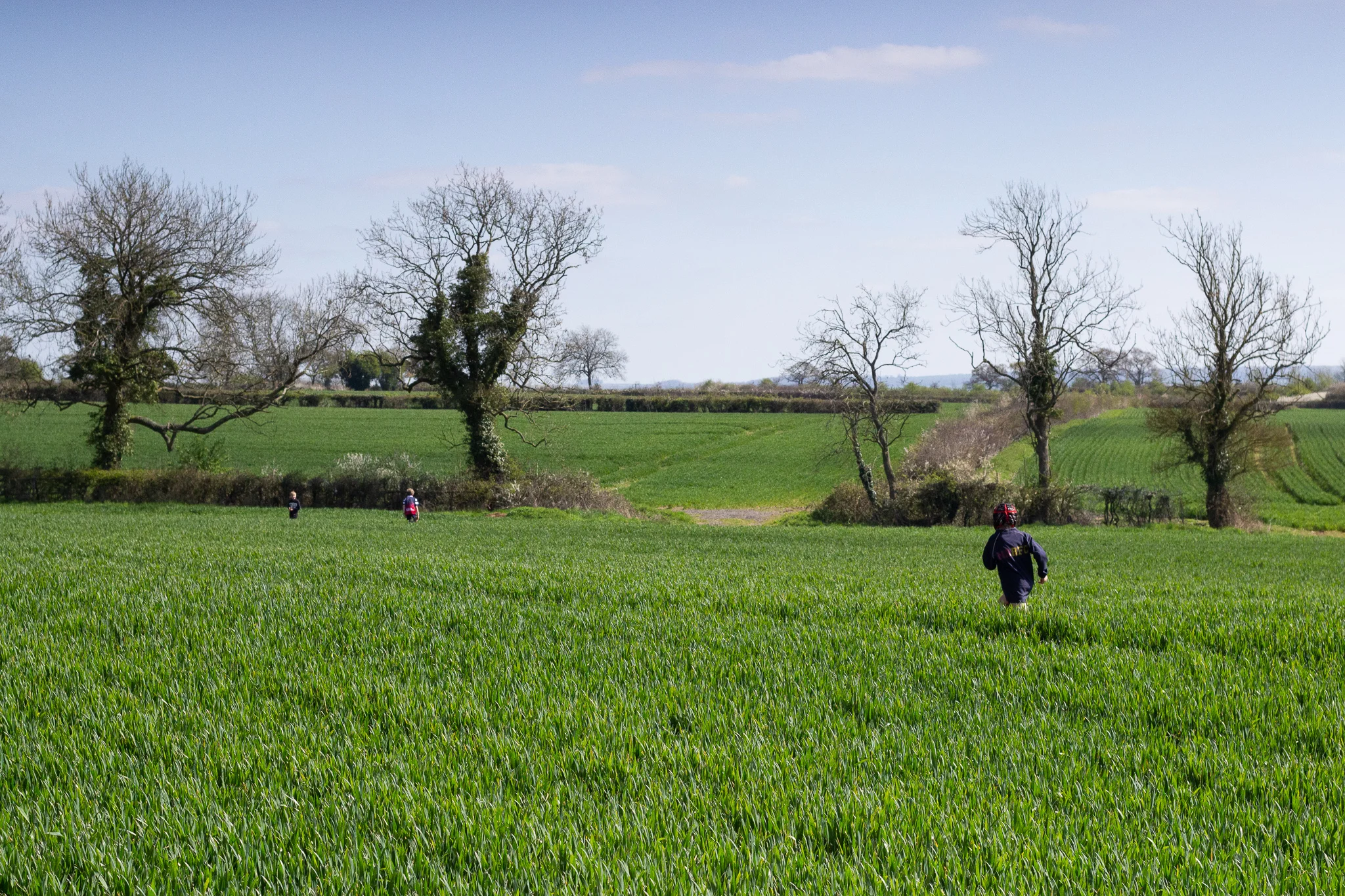 Running wild through the fields.