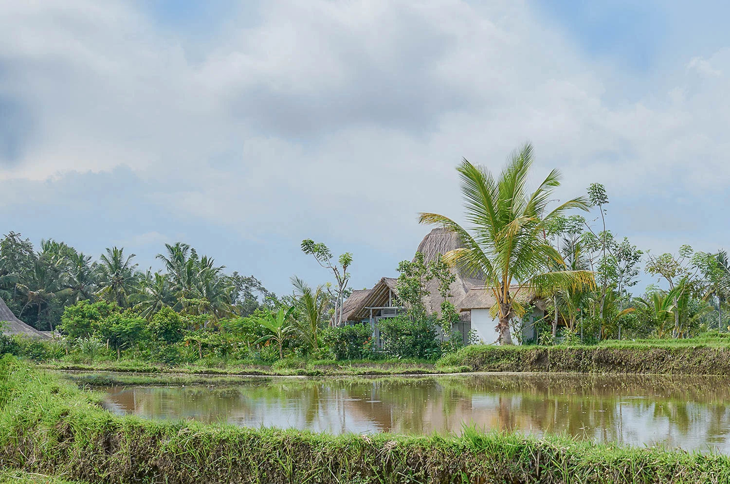 Bali Landscape villa