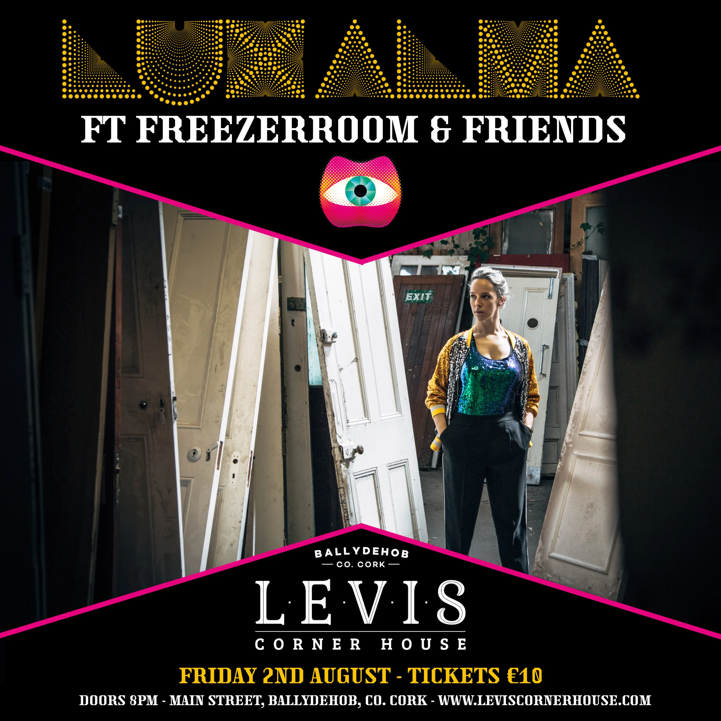 The Visit freezerRoom Remix &amp; Launch gig...