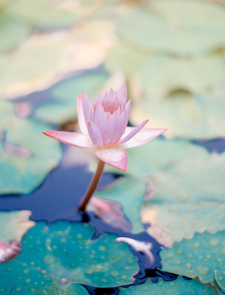 Awakening the Sage Within | London Workshop