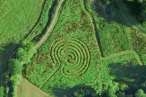 labyrinth-green-outdoors