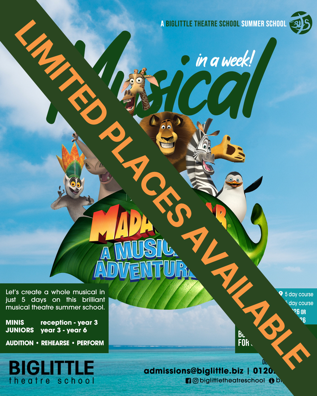 Limited Spaces Remaining for Junior Summer School 2026