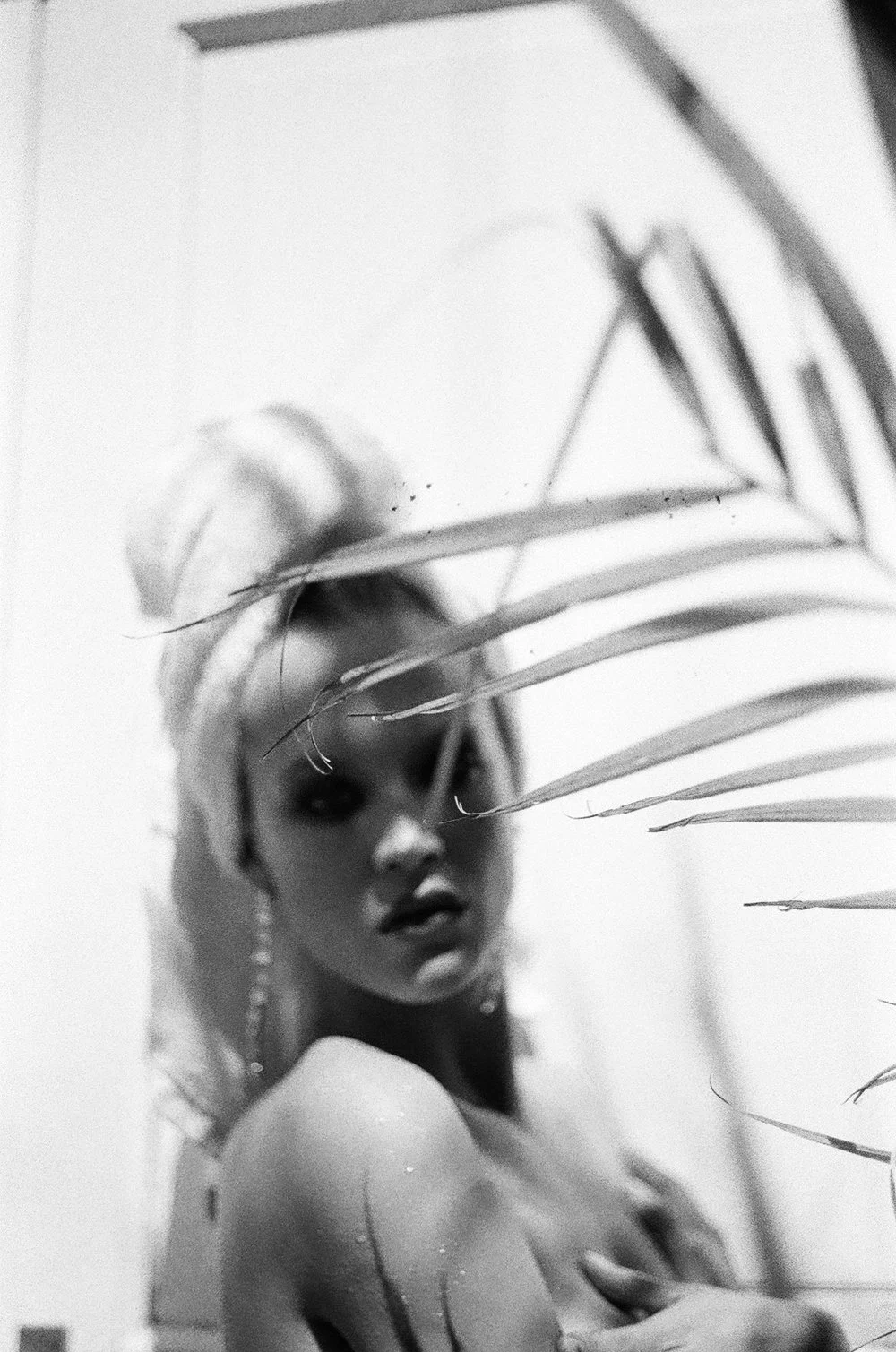 Taubenschreck_ARIEL_CapeTown_Analog_Honigschreck0032_32.jpg