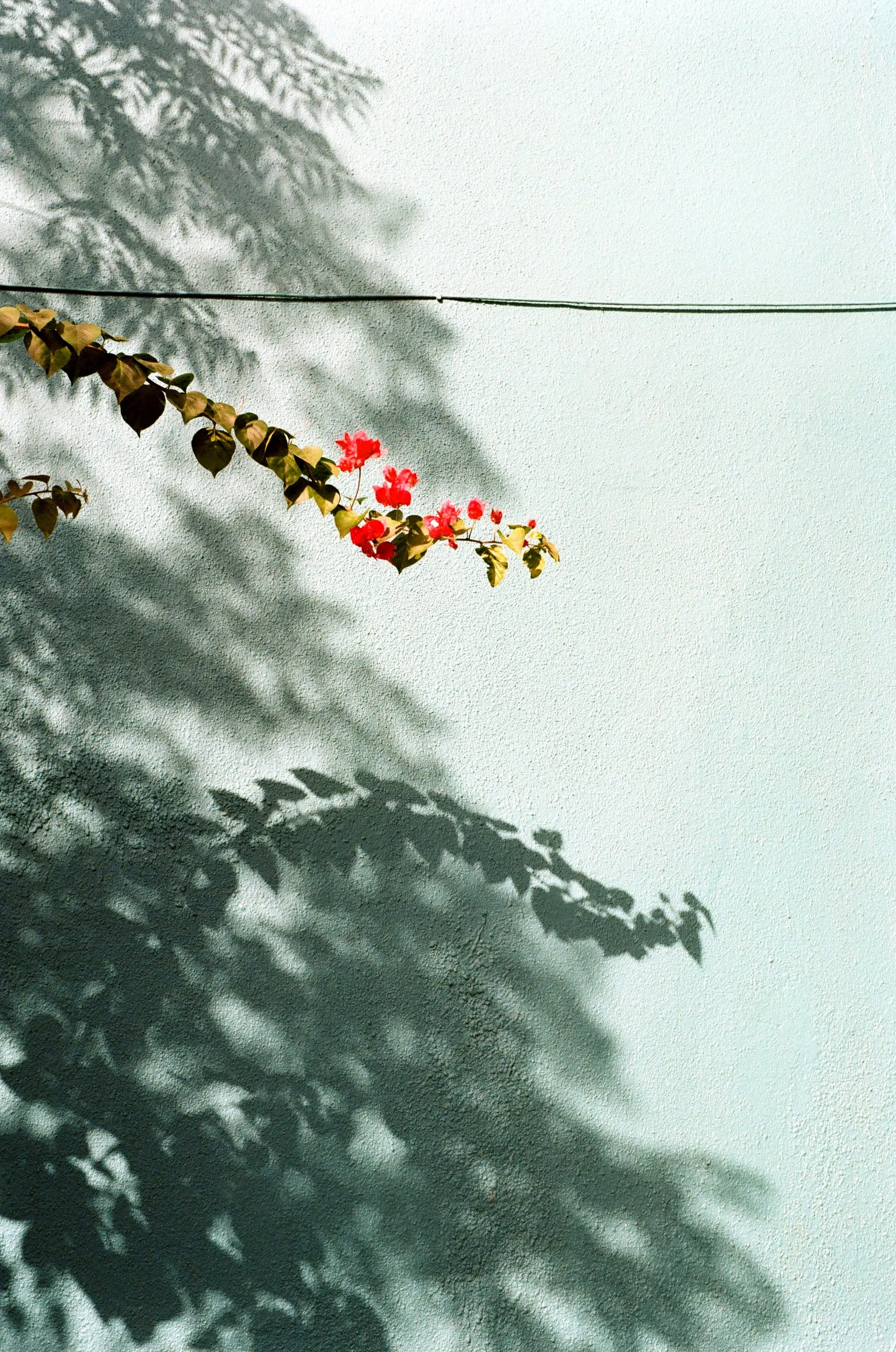 CapeTown_CityMix_LeicaM6_KodakGold200_FEB_2026000863790020_17.jpg