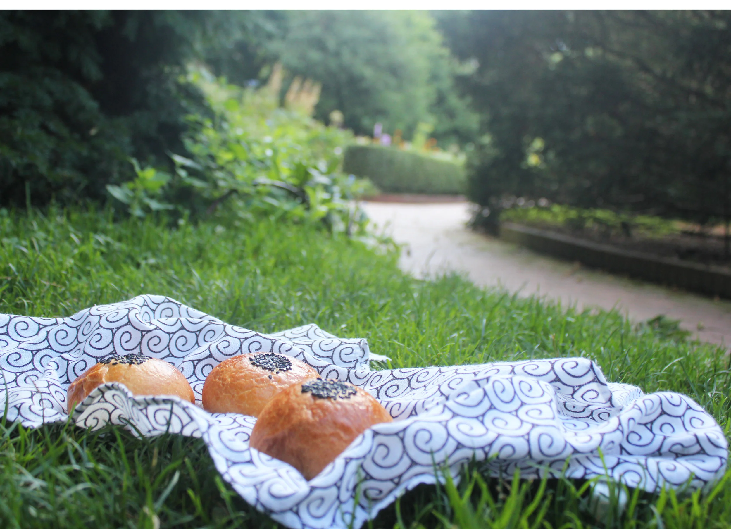 Anpan garden path.jpg