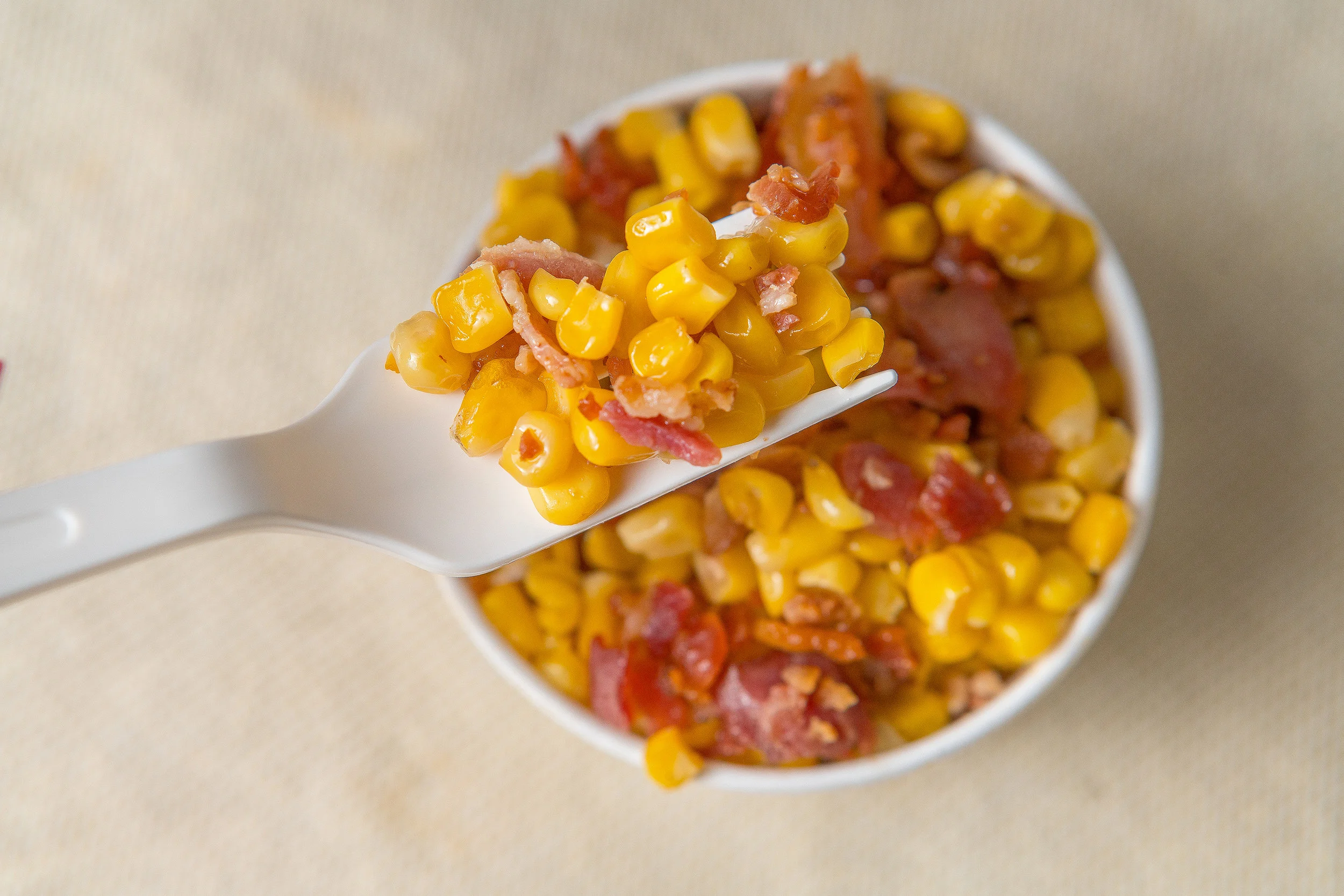 Bullfrog and Baum  x Ryan John Lee -2 EDIT.jpg