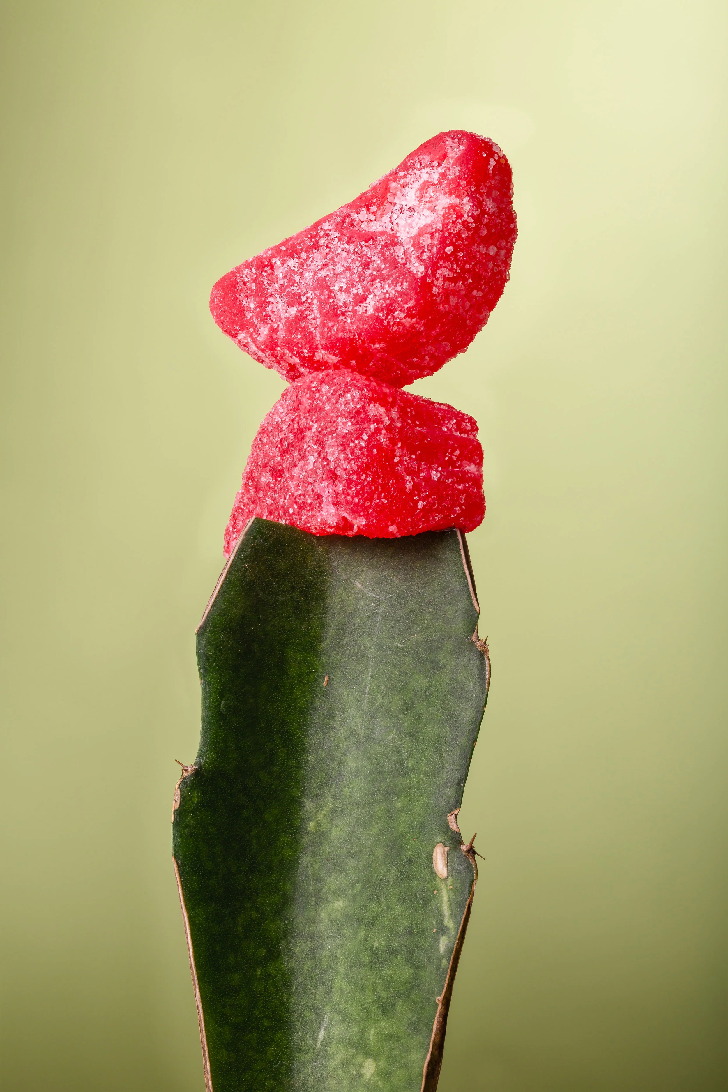 Junk Food-edit 4.jpg