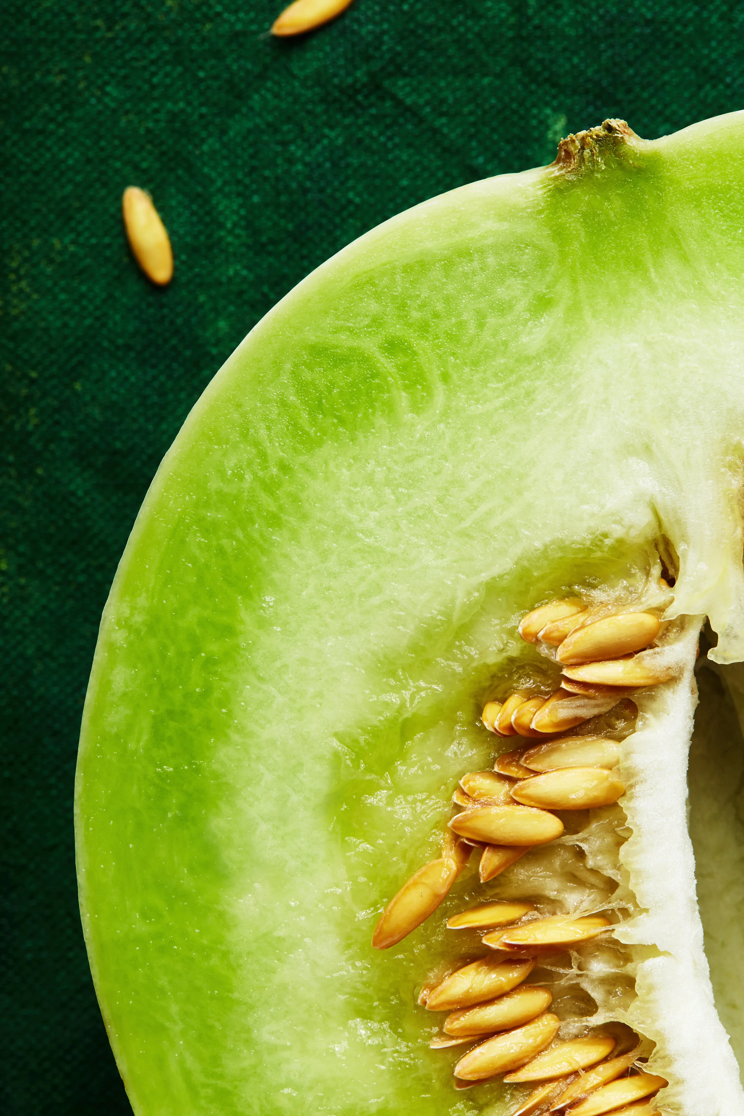 2019-06-05 Hadley Test12944.jpg