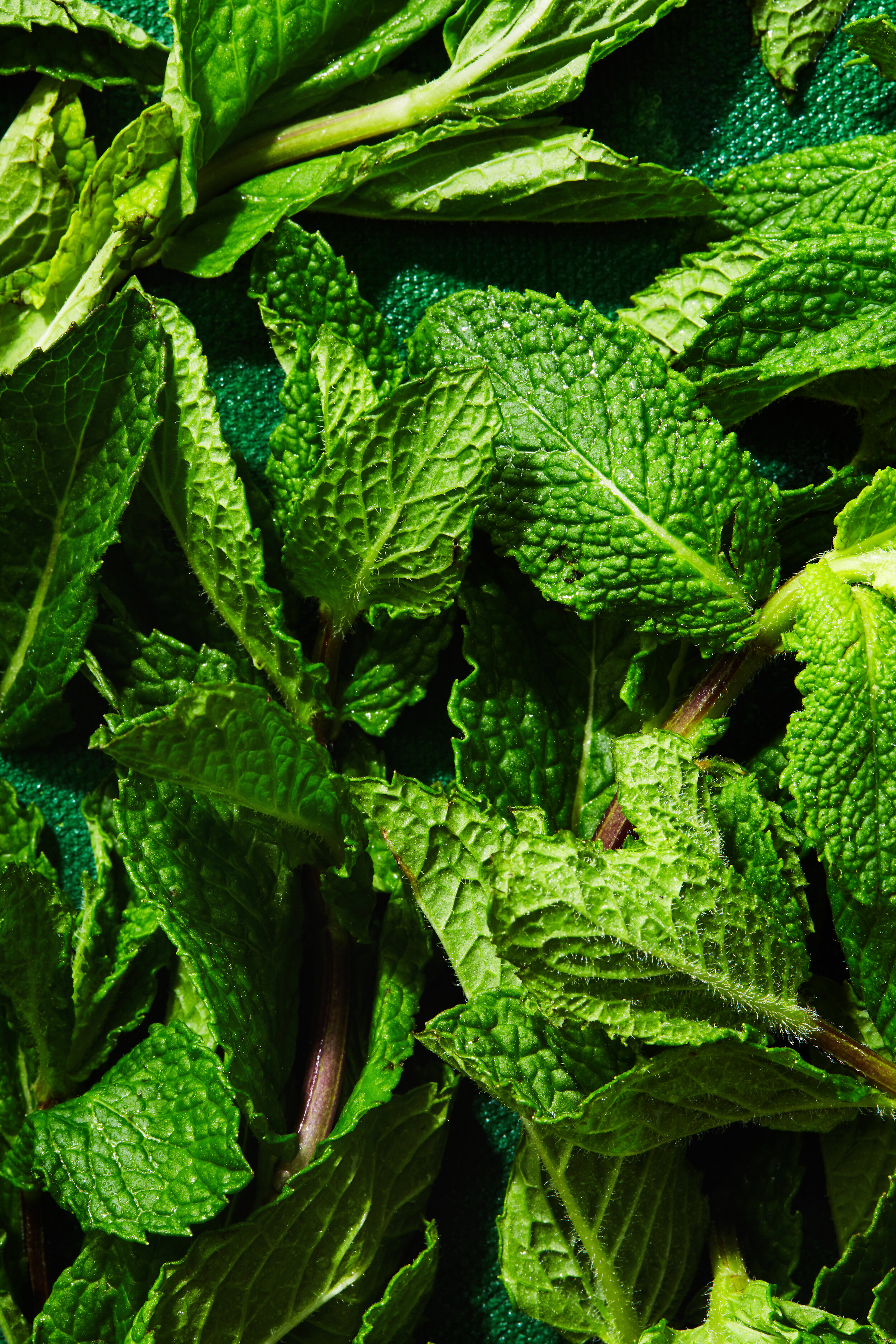 2019-06-05 Hadley Test12930.jpg