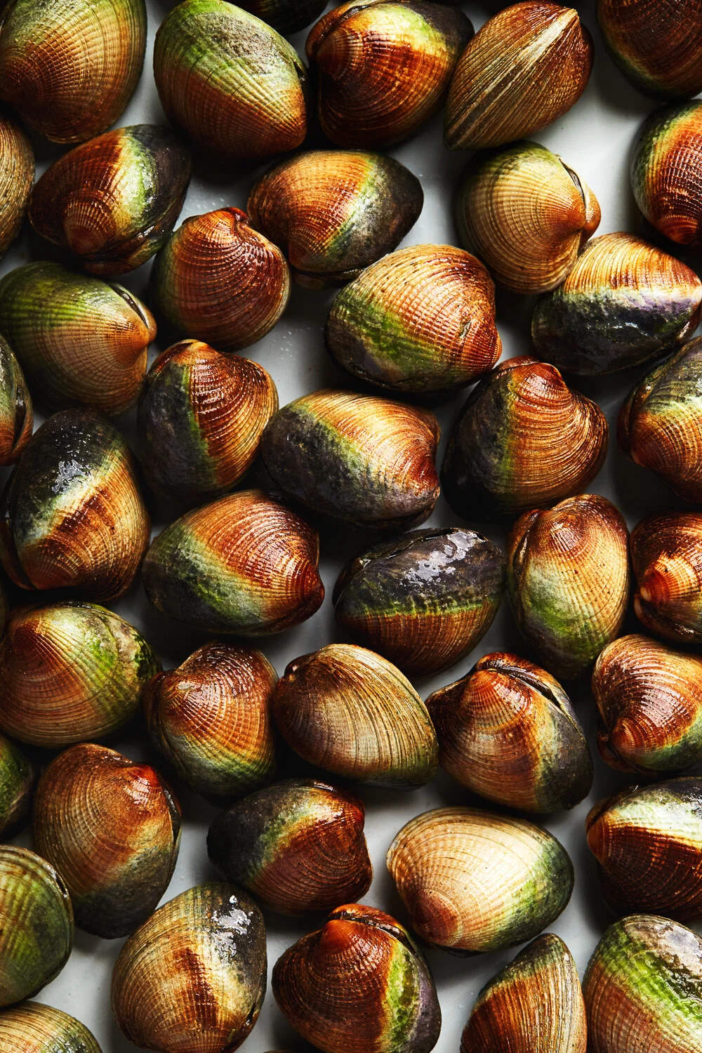 2019-06-05 Hadley Test13168[WEB].jpg