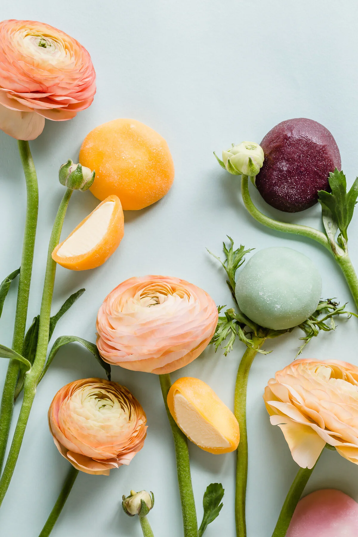 Mochi Flowers (Picnic Shoot)-1(Web).jpg