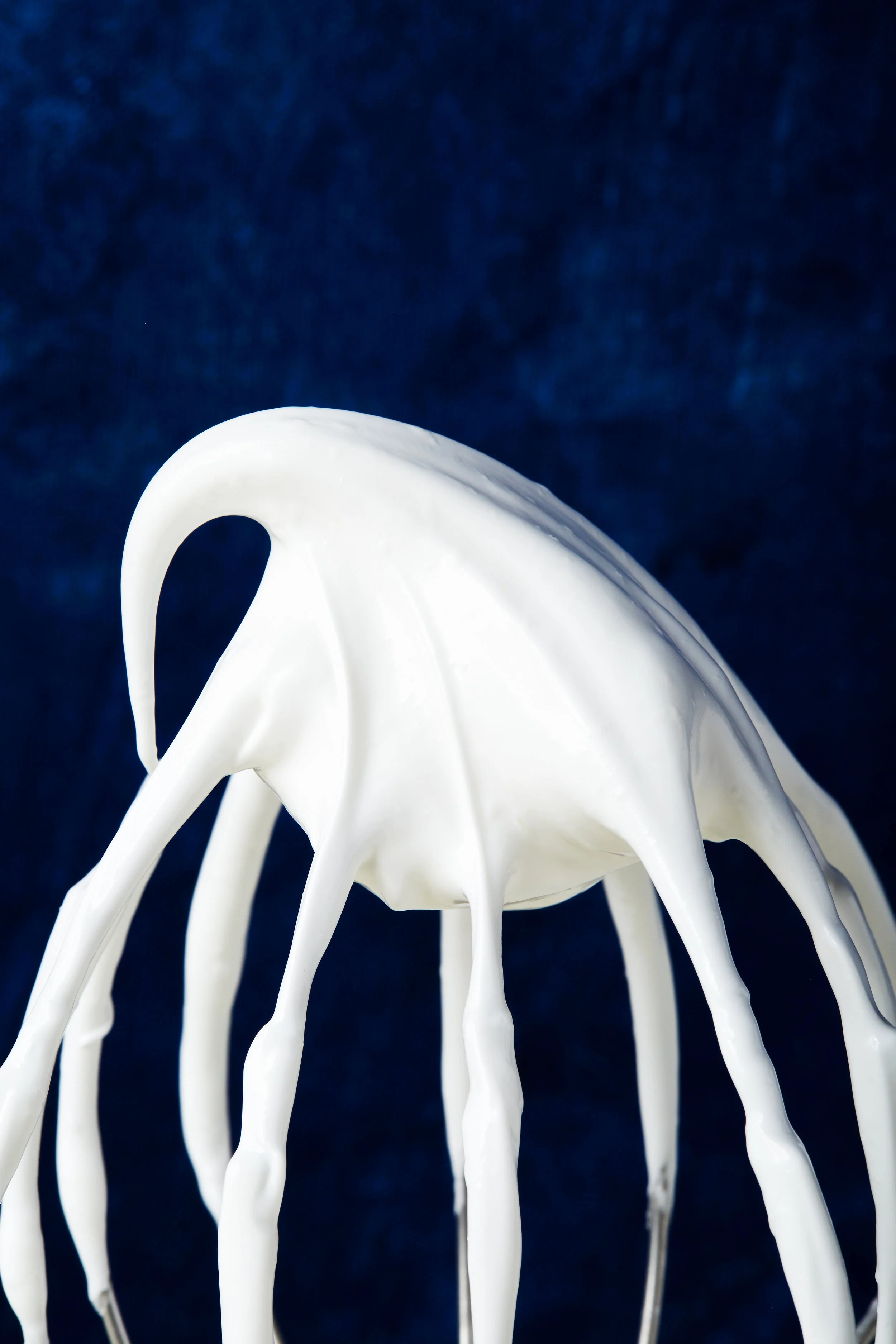 2019-06-05 Hadley Test12882.jpg