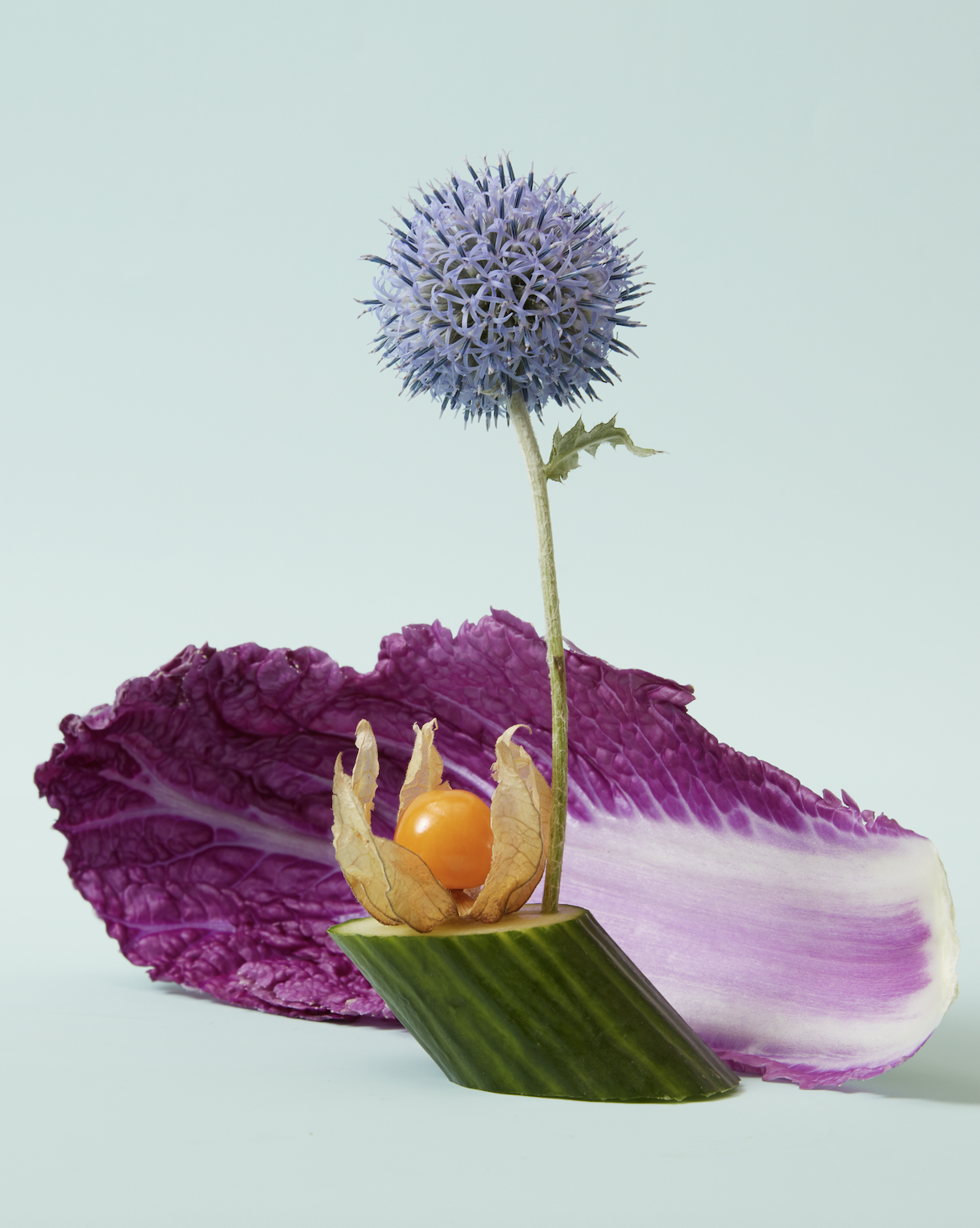 Screenshot 2025-06-05 at 10.27.57 AM.png