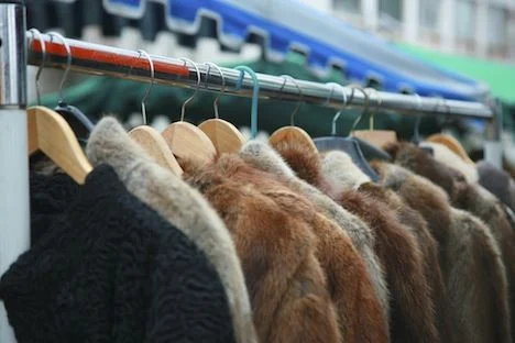 norway fur ban