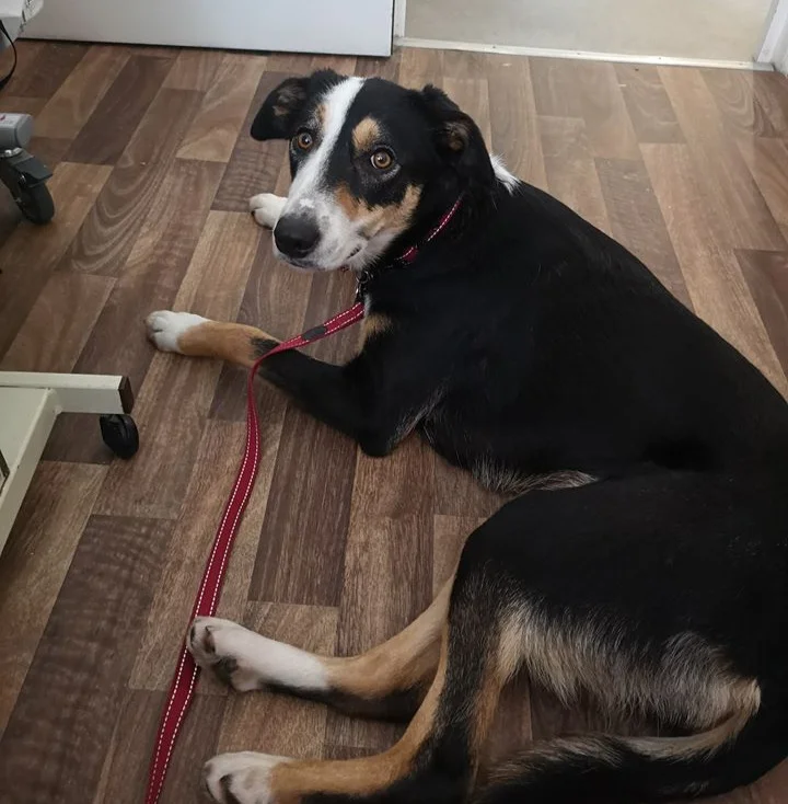 Lottie a 2 year old girl