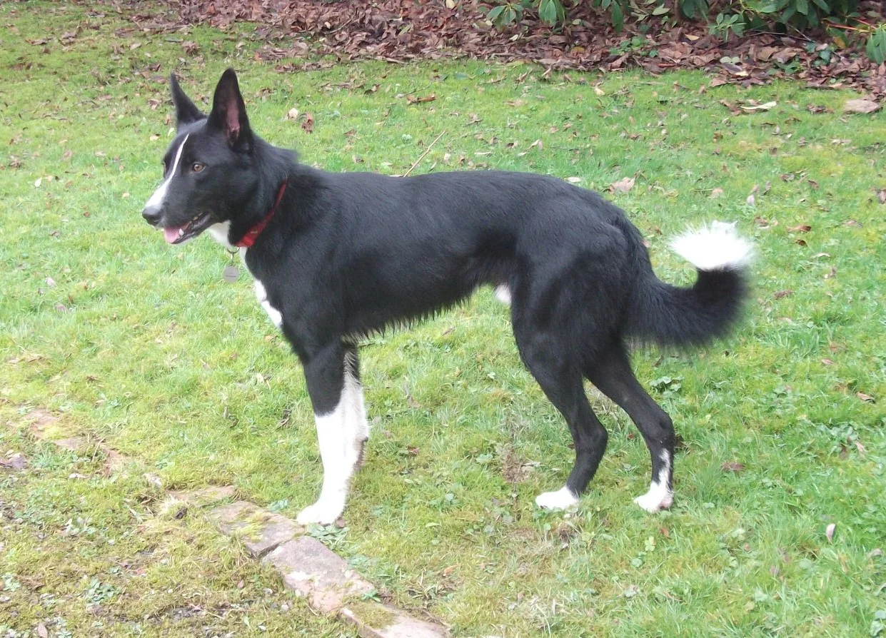Max a 1 year old boy