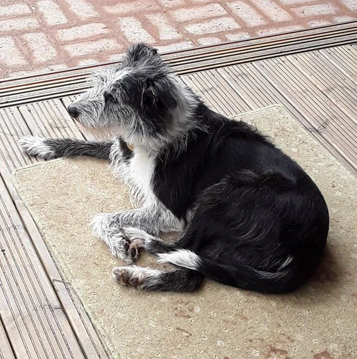 Floss an 8 year old girl
