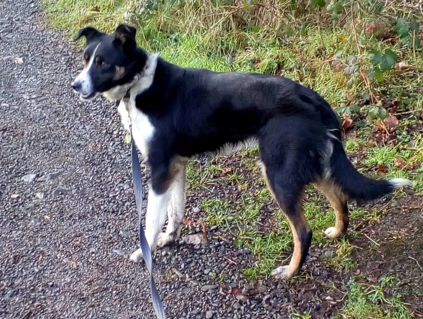 Jenny AKA Freya a 3 year old girl