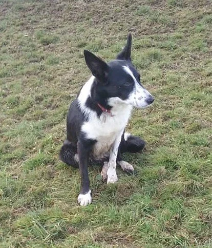 Jess a 3 year old girl