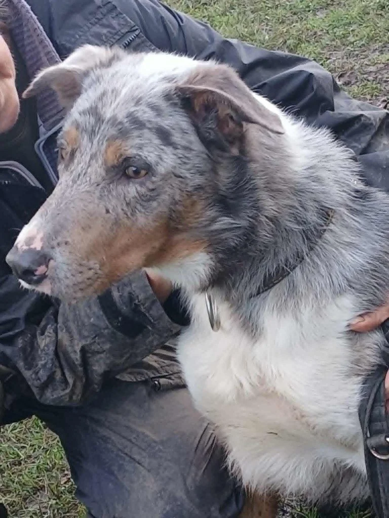 Ghost - 4 years 10 months