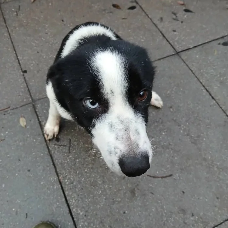 Lyn - 1 year 7 months