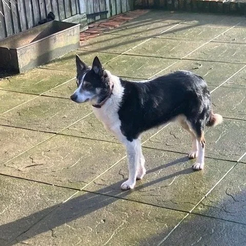 Max