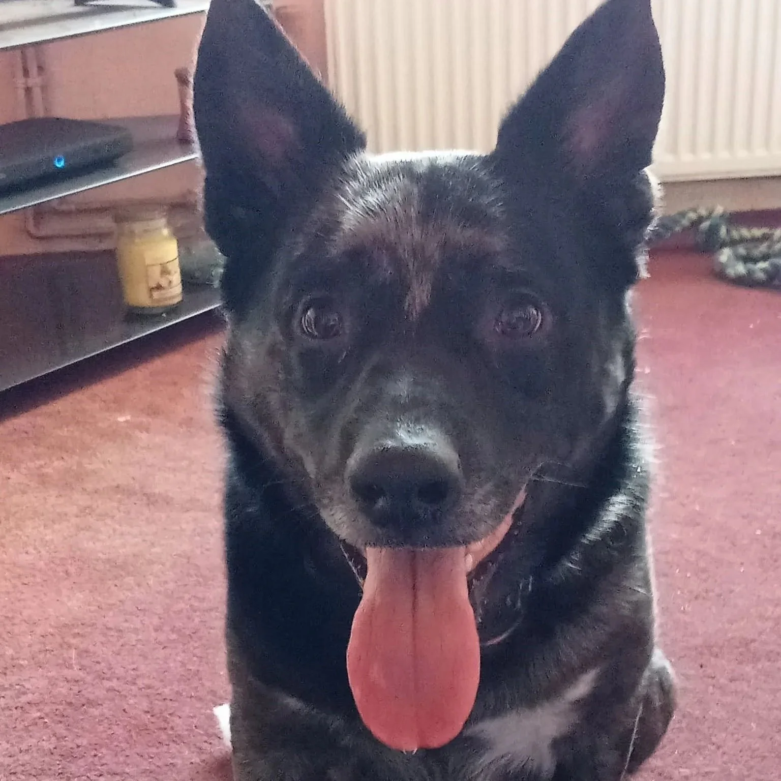 Mr Bean - 2 years 8 months