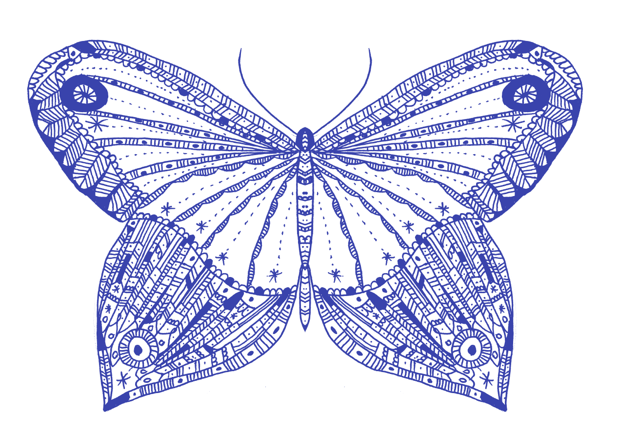 The Butterfly