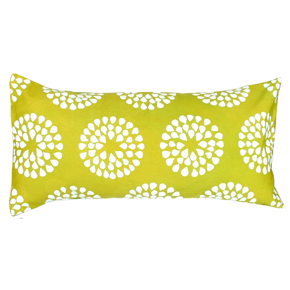 cebi_lime_30x60.jpg