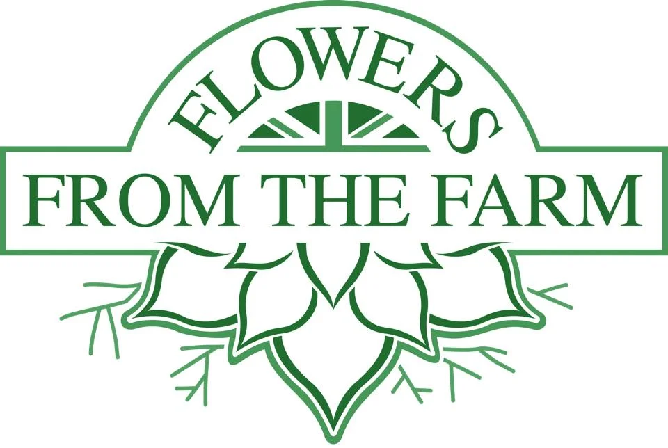 FFTF green.jpg