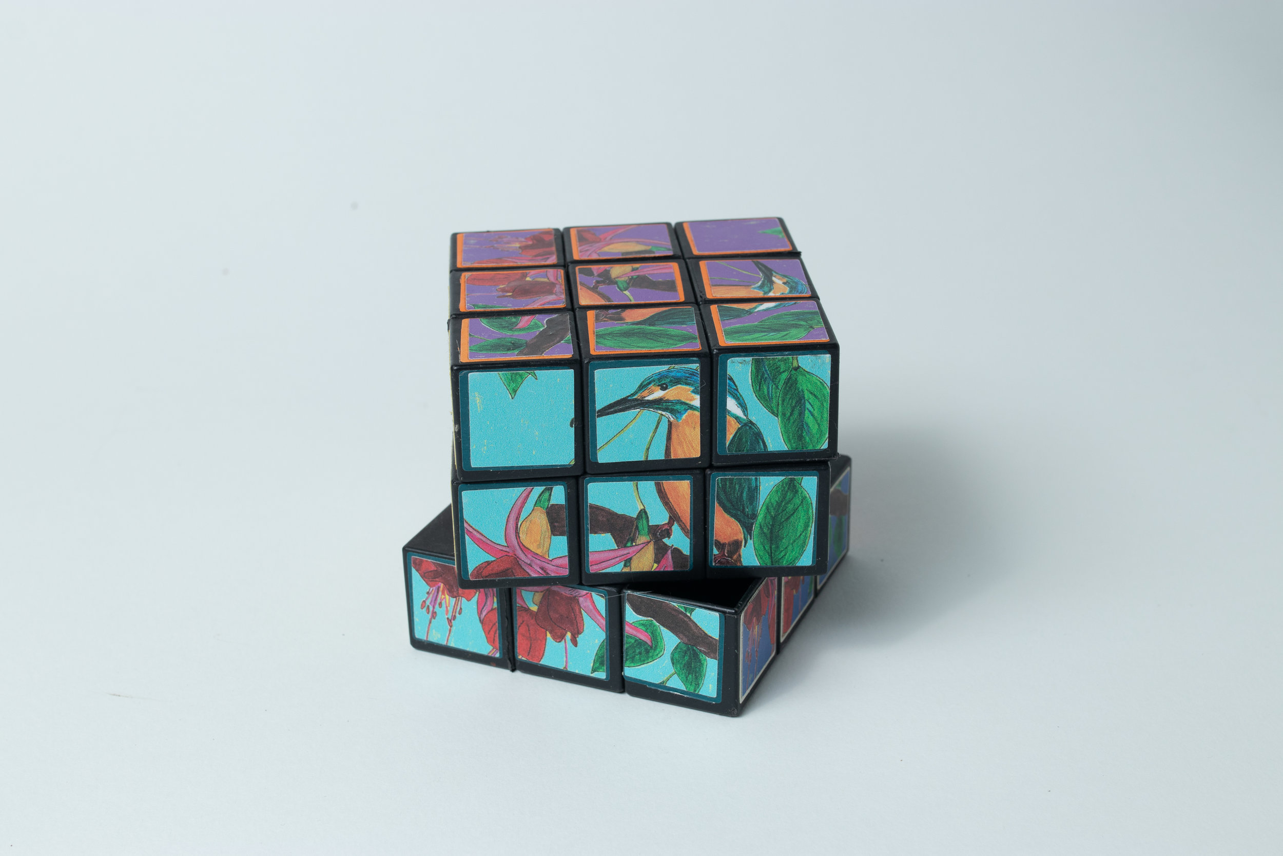   “Briths Birds Series”    5.7 cm    Vinyl Prints On Rubix Cube  