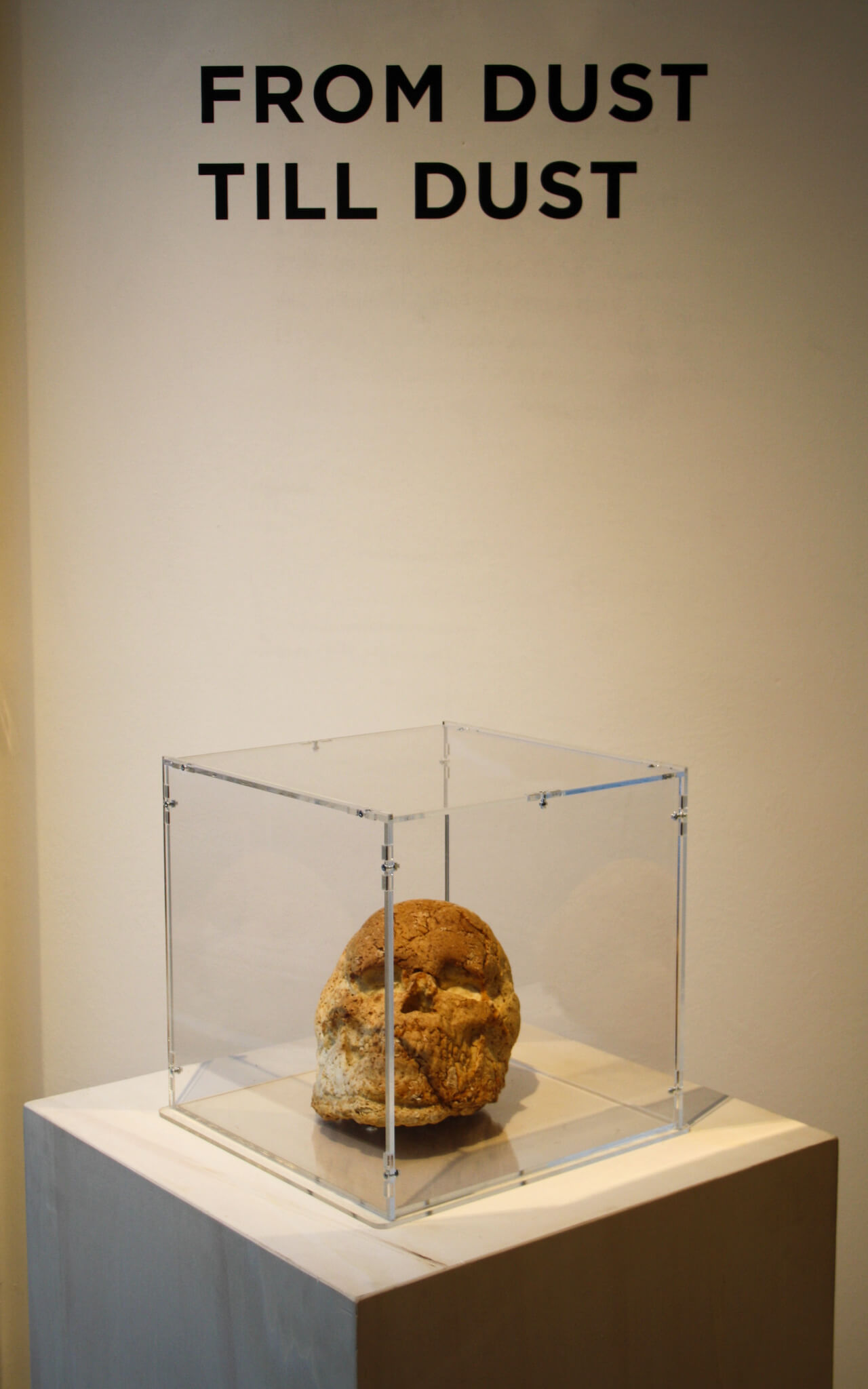 vanitas_6.jpg