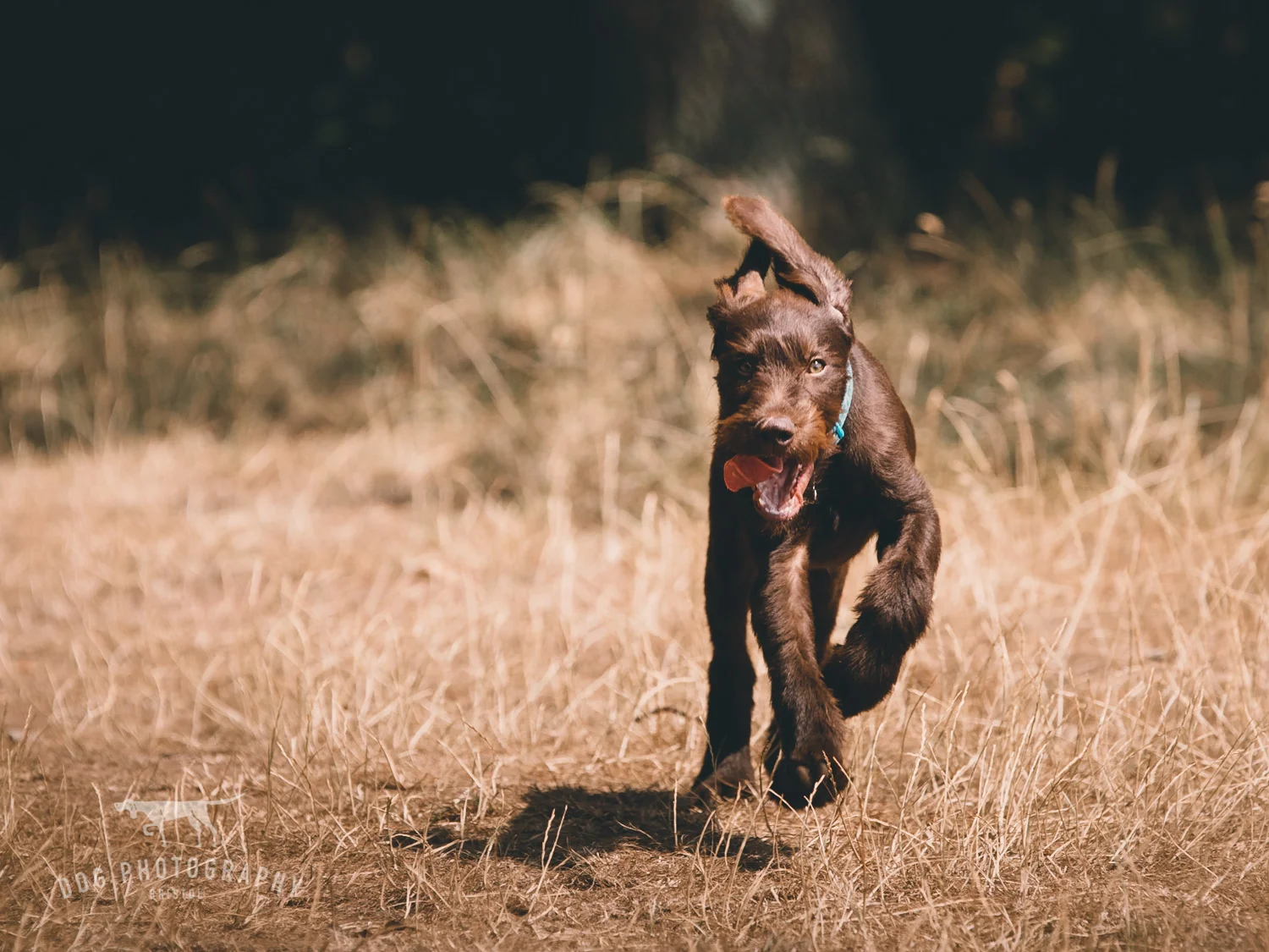 20180714--141310-andrew-maybury-2.jpg