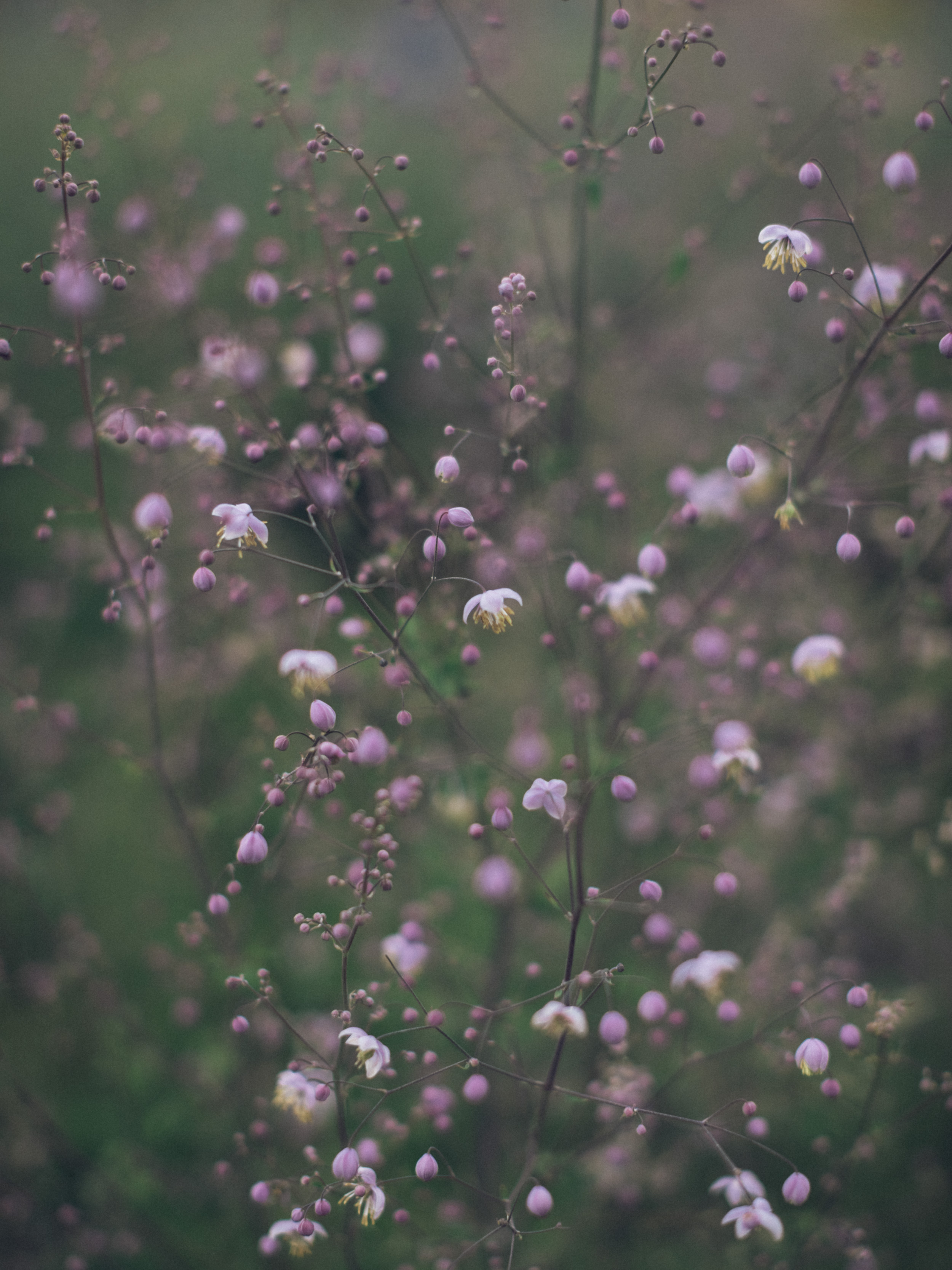 20180717--144418-andrew-maybury.jpg