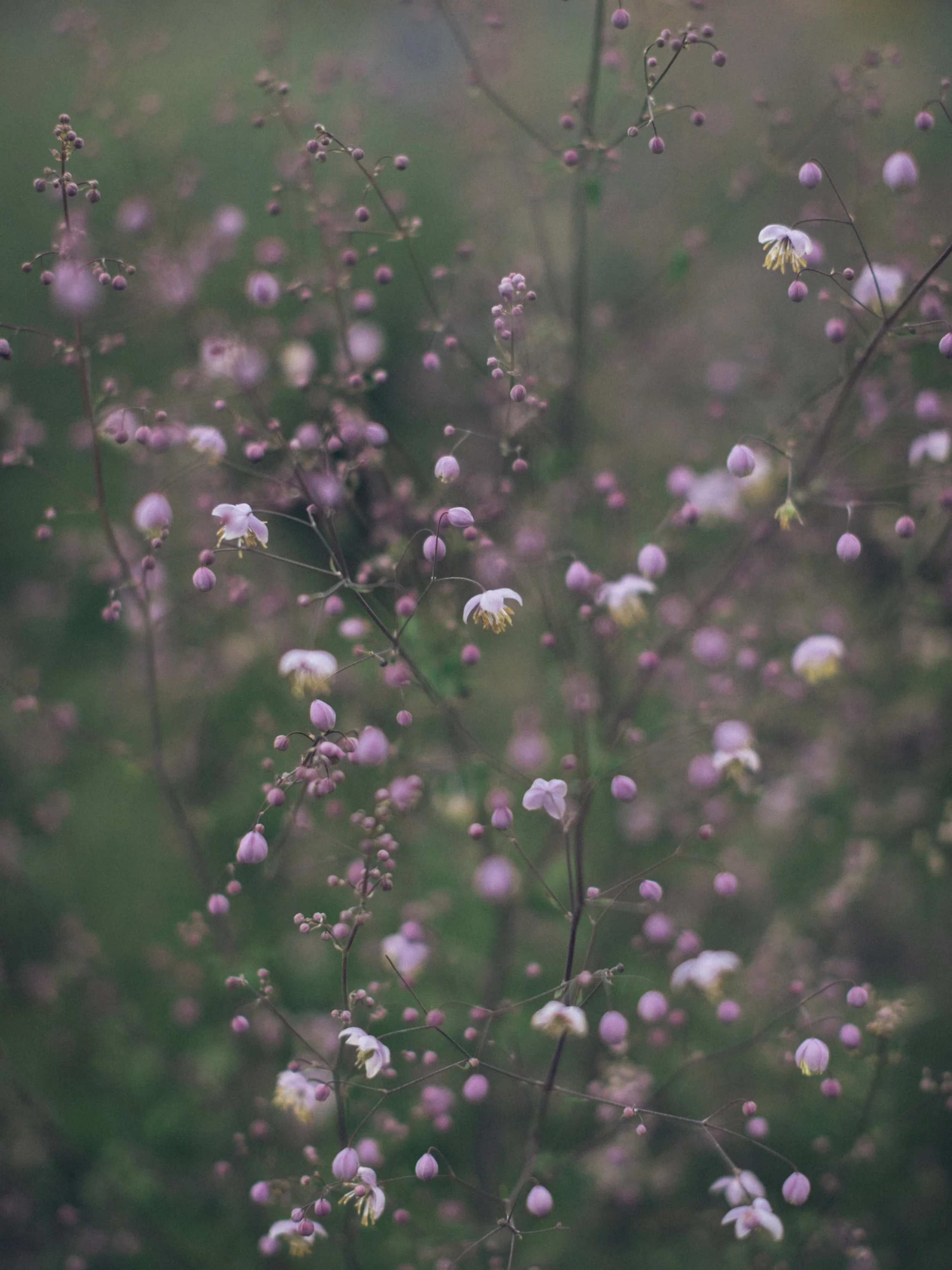 20180717--144418-andrew-maybury.jpg