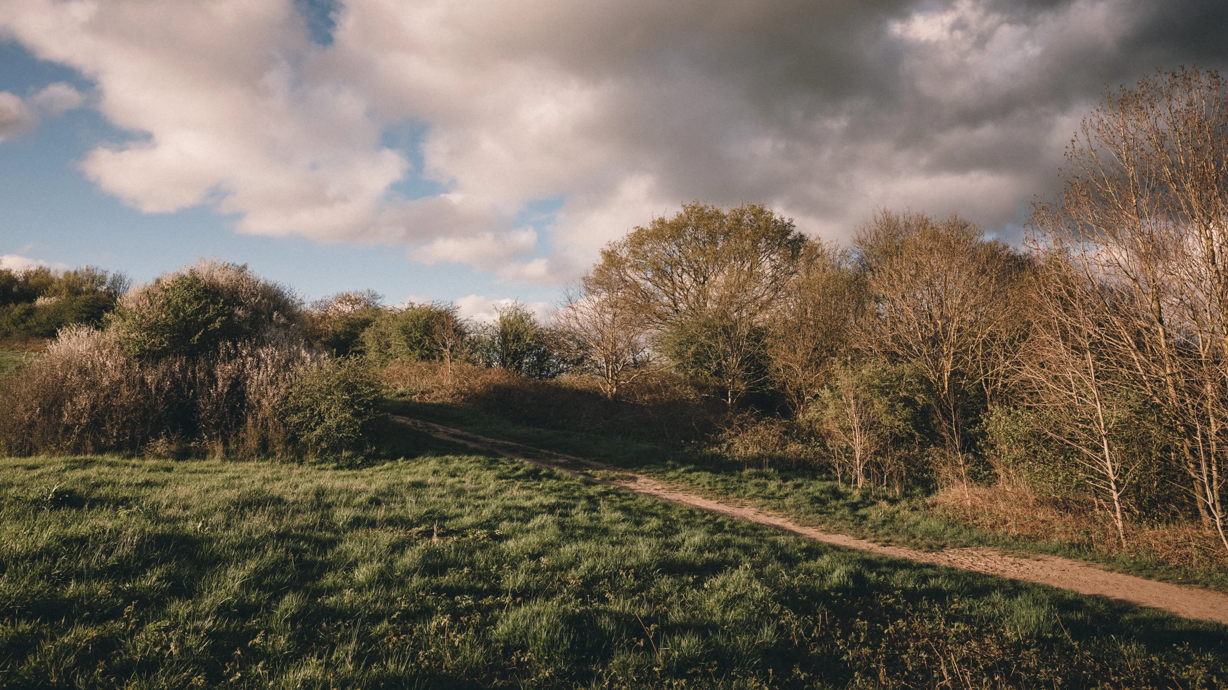 20180422--185719-andrew-maybury.jpg